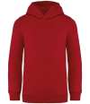 NS404 Native Spirit Kids Hooded Sweatshirt hibiscus red colour image